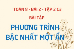 Bài tập phương trình bậc nhất một ẩn có đáp án - Toán 8 bài 2 tập 2 chương 3